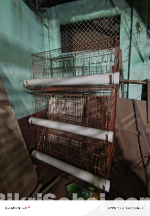 পশু পাখি ও মুরগি খাঁচা